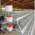 firm quality chicken cage or hencoop for sale